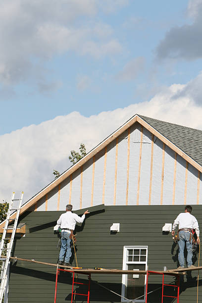 Best Siding Removal and Disposal  in Cicero, IL