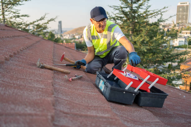 Best Brick Veneer Siding  in Cicero, IL