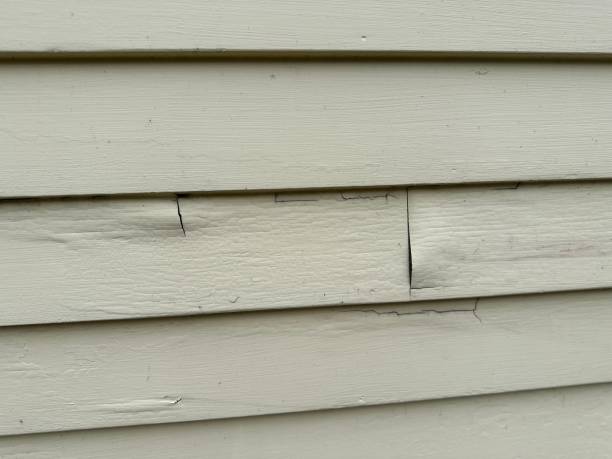 Best Siding Painting and Refinishing  in Cicero, IL